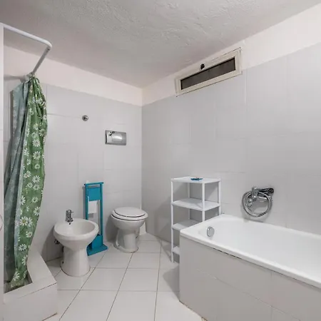 Simius * 维拉西米乌斯